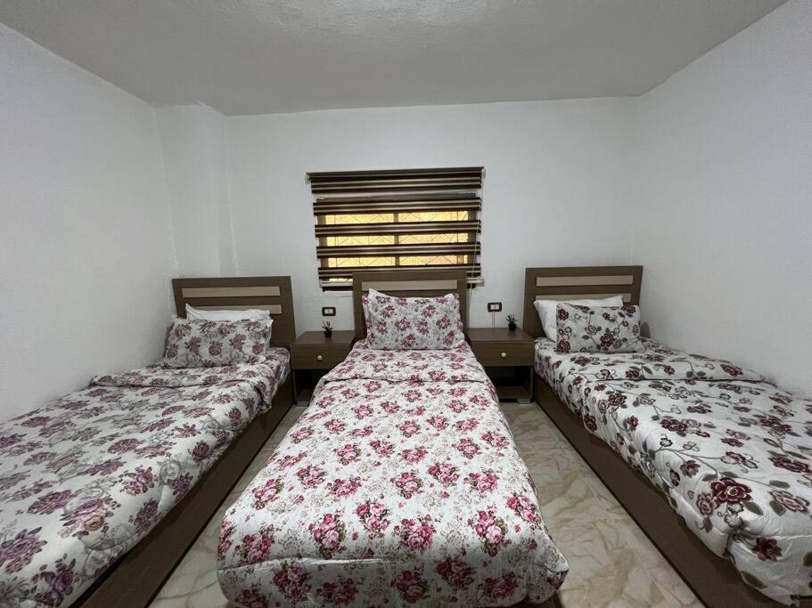 Z3 Apartment Wadi Musa Zewnętrze zdjęcie