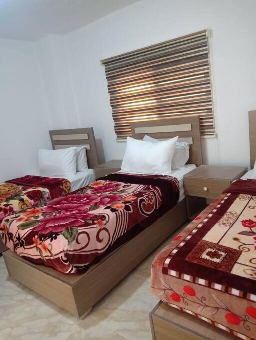 Z3 Apartment Wadi Musa Zewnętrze zdjęcie