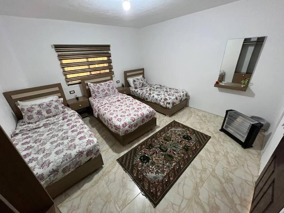 Z3 Apartment Wadi Musa Zewnętrze zdjęcie